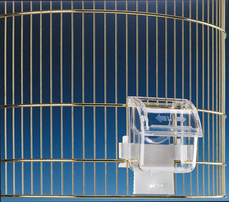 53178763608393_image1