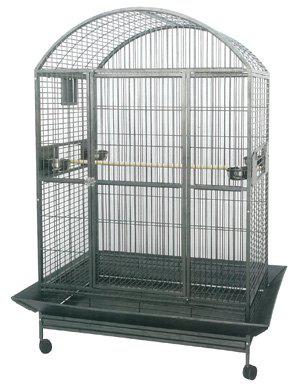 53178236830025_image1