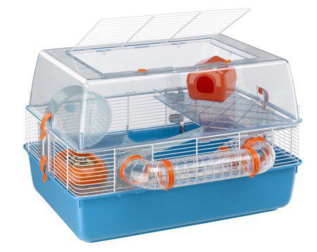 53178204324169_image1