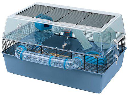 53178510115145_image1