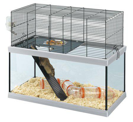 53176817156425_image1