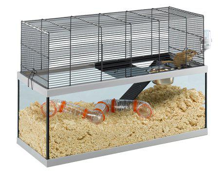 53178814988617_image1