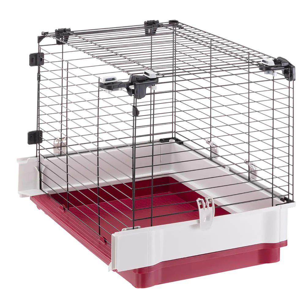 PetPal