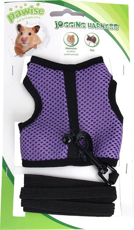 53174712107337_image1