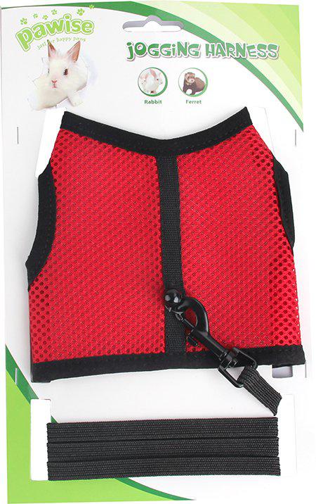 53174712172873_image1