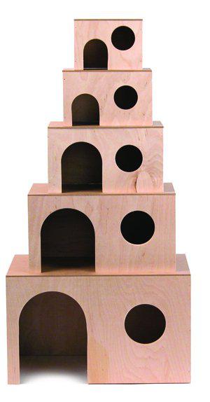53178464272713_image1