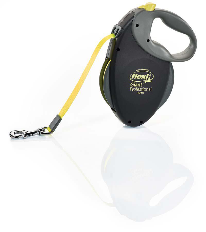 53266632376649_image1