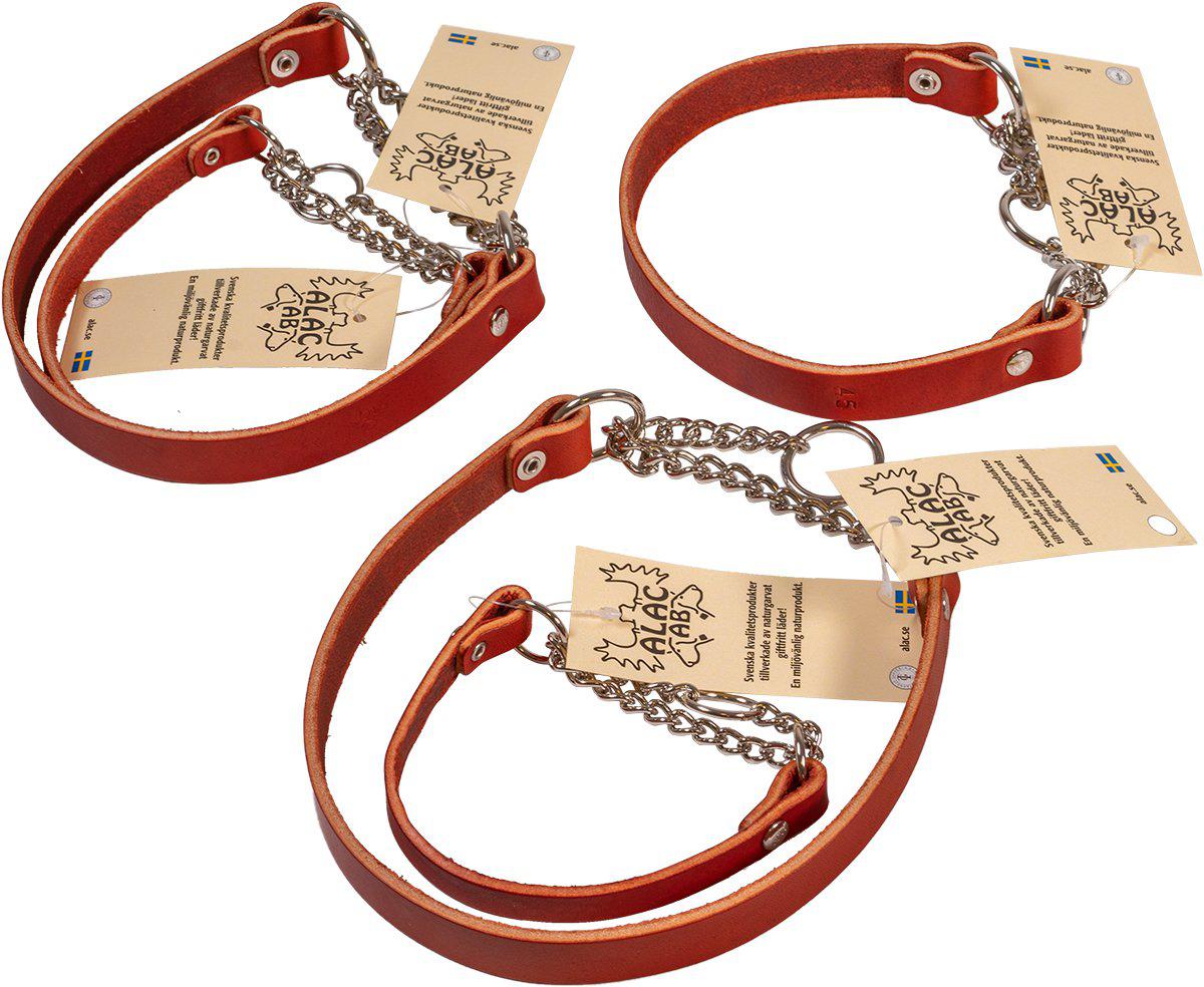 53174521659721_image1