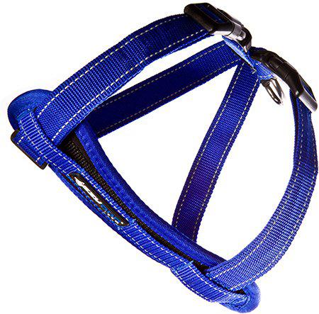 53178706461001_image1