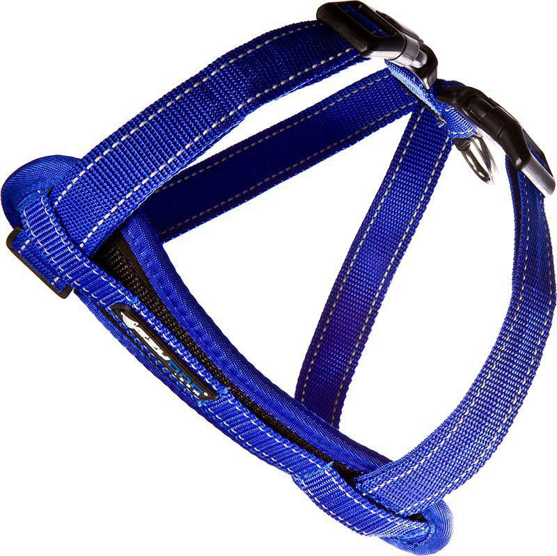 53266608161097_image1