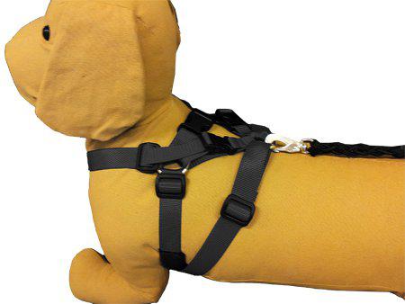 PetPal