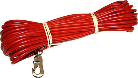 53195385373001_image1