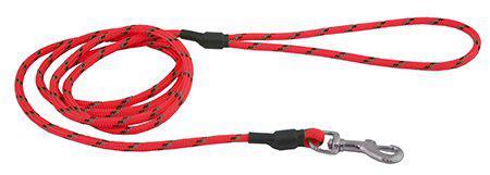 53177633964361_image1