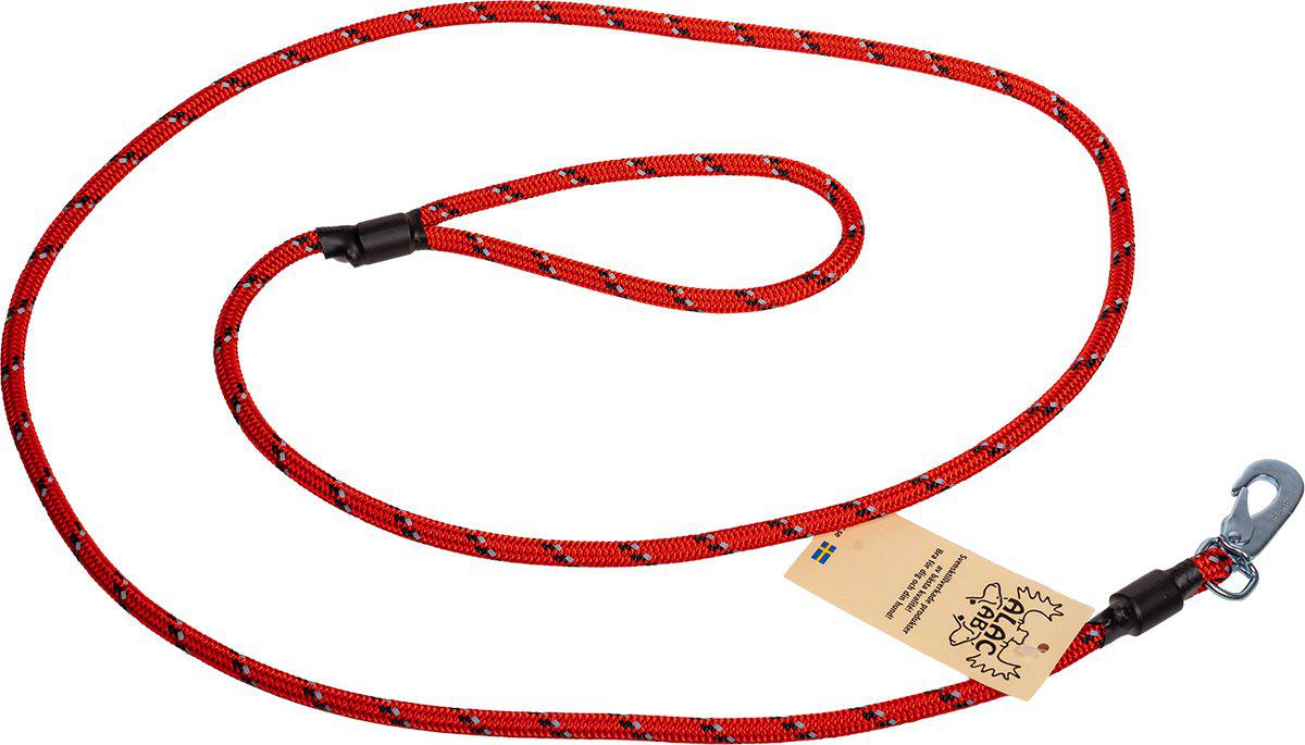 53174178775369_image1