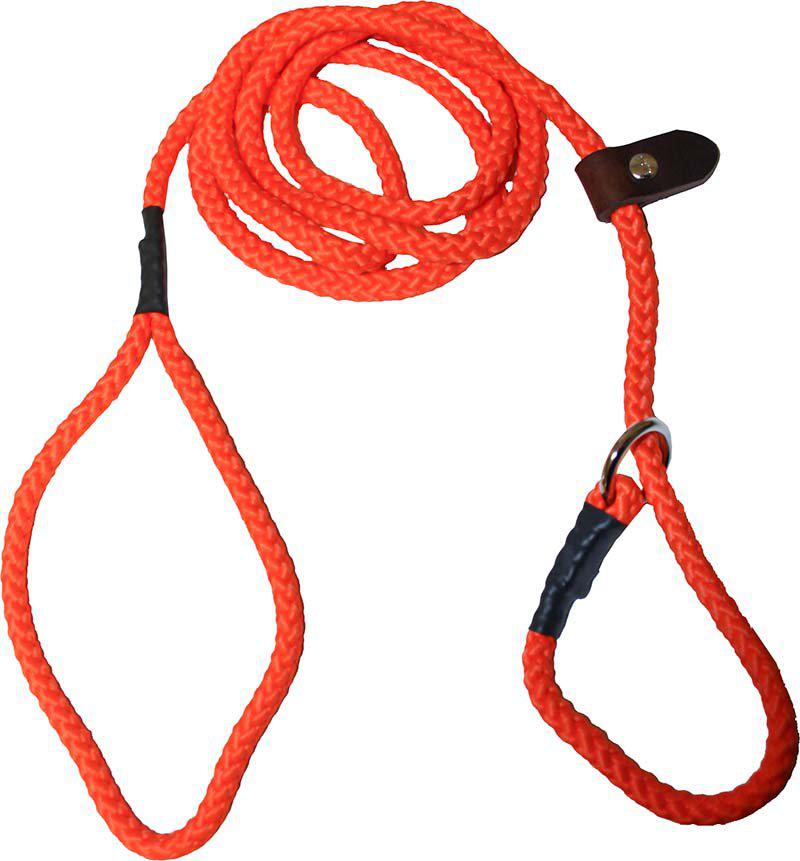 53179464122697_image1