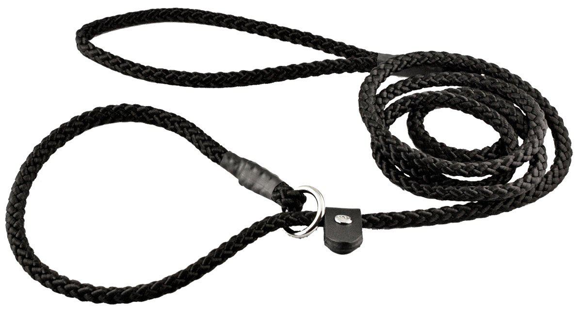 53178398277961_image1