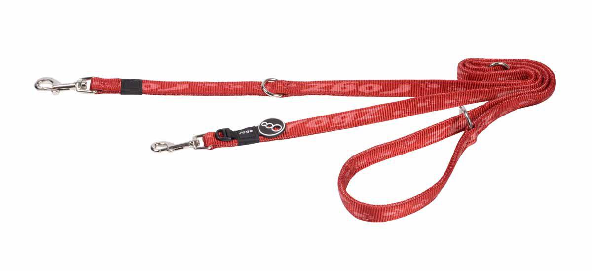 53195413782857_image1