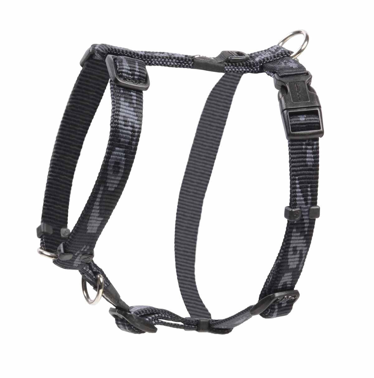 53173758230857_image1