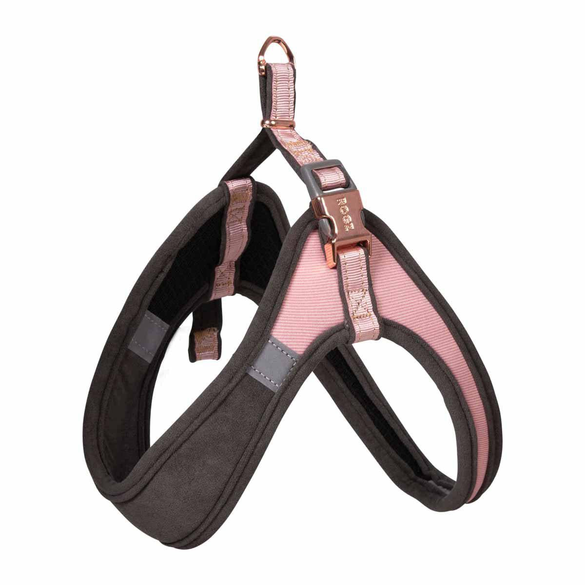 53178491470153_image1