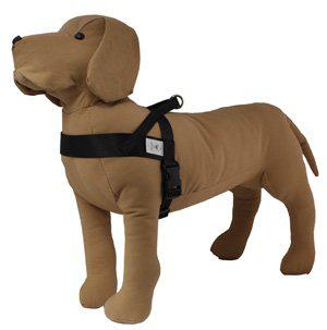 PetPal