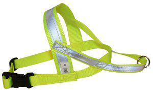 53178582663497_image1