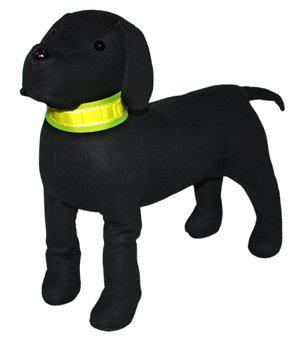 PetPal
