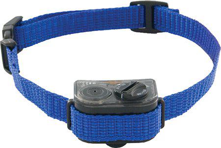 53174743040329_image1