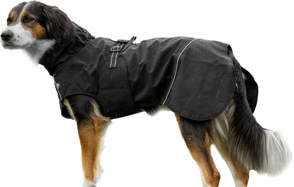 PetPal