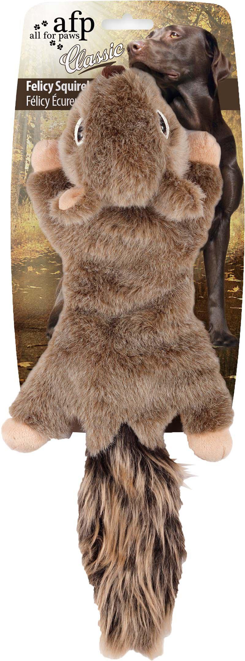 53173681848649_image1