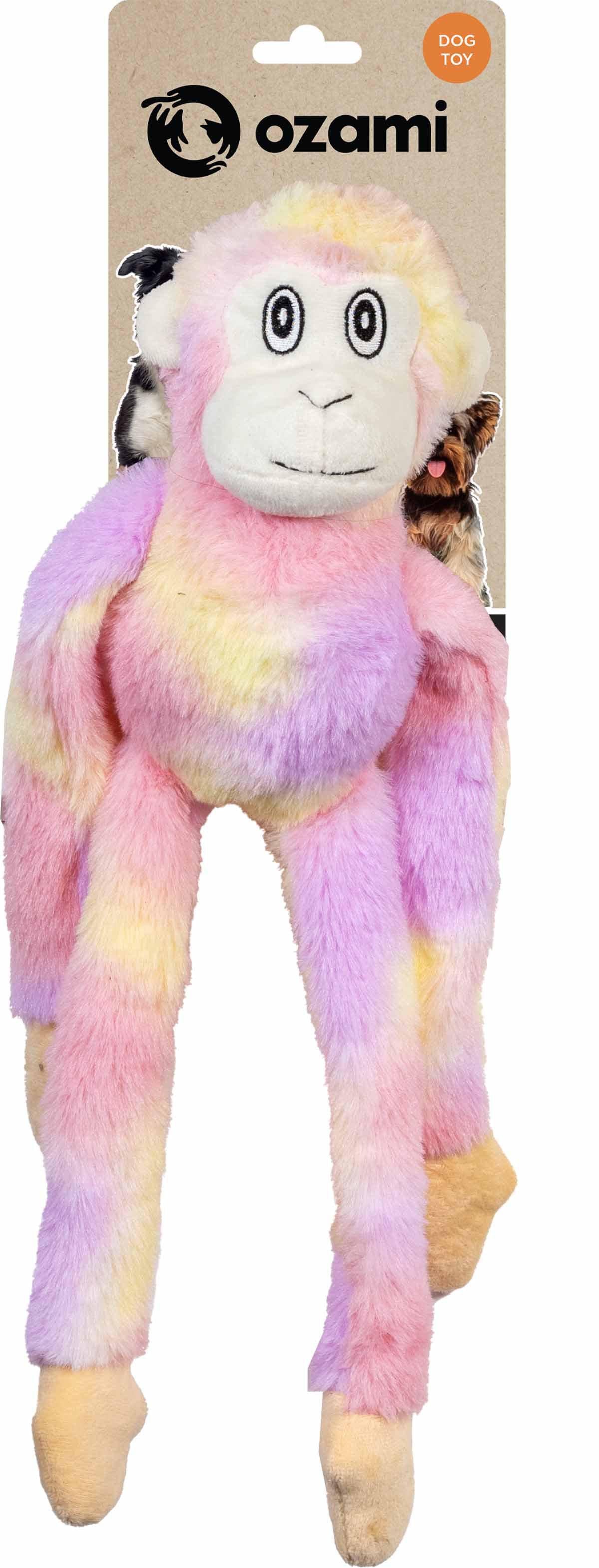 53178729988425_image1