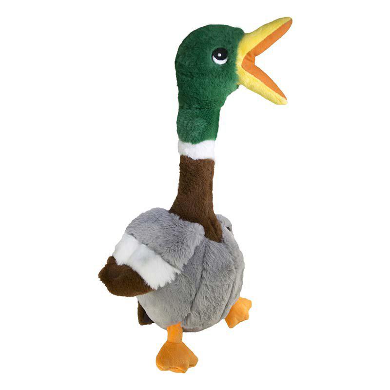 PetPal
