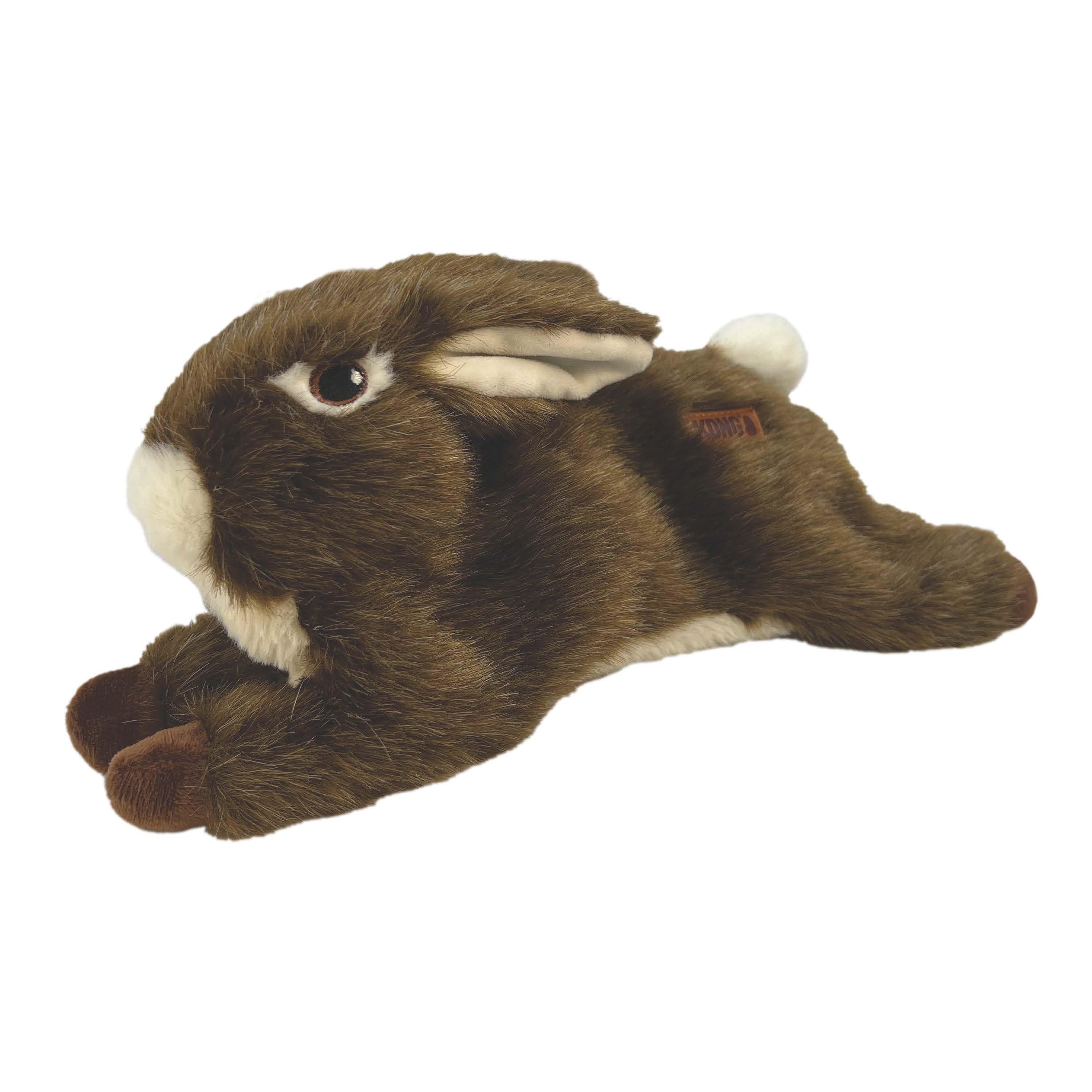 53174549086537_image1