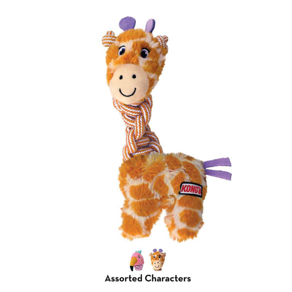 53179321647433_image1