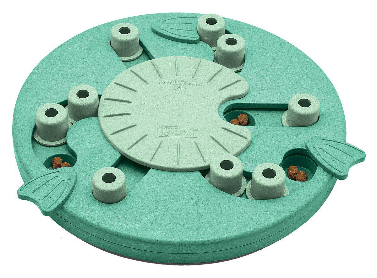 53178880033097_image1