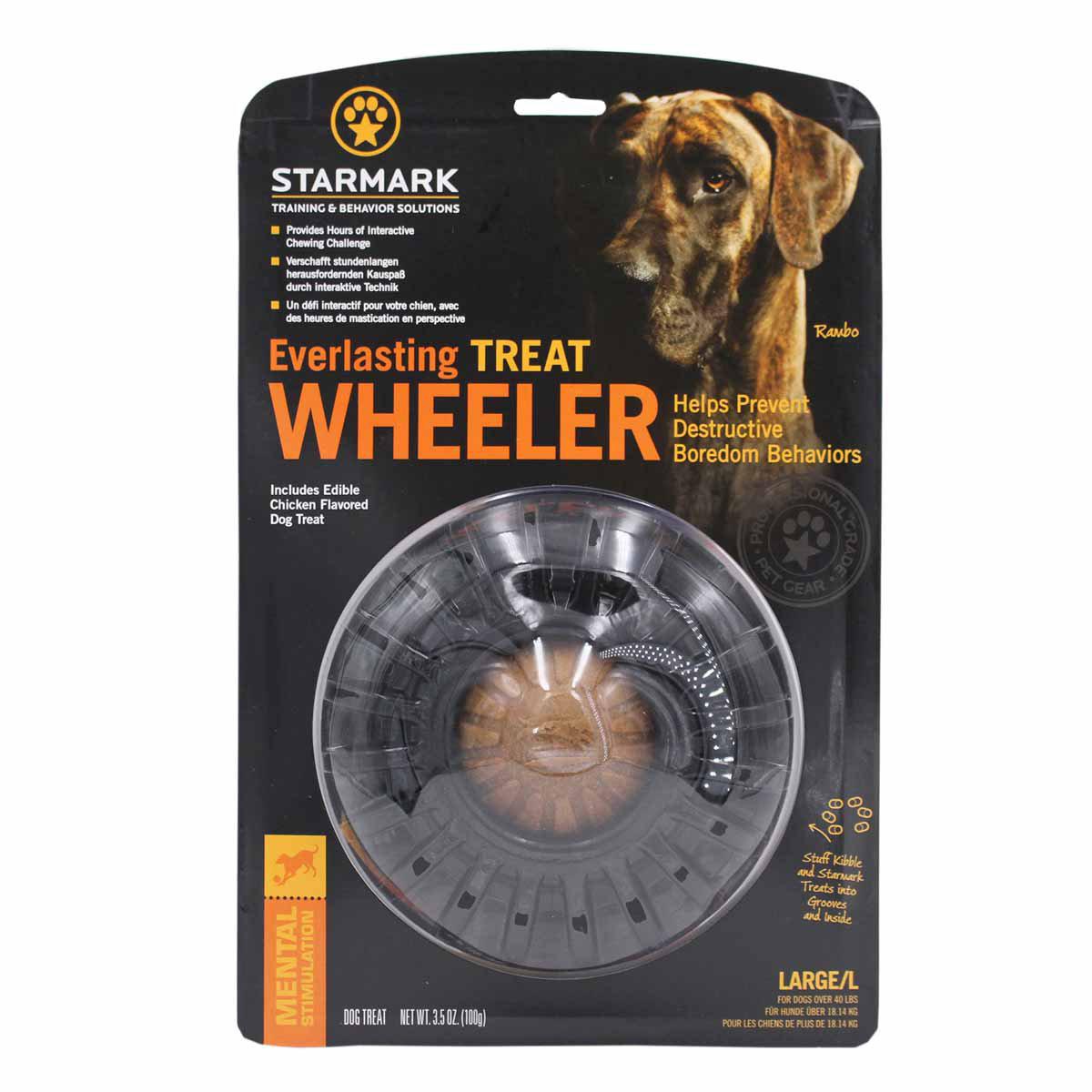 53174492725577_image1