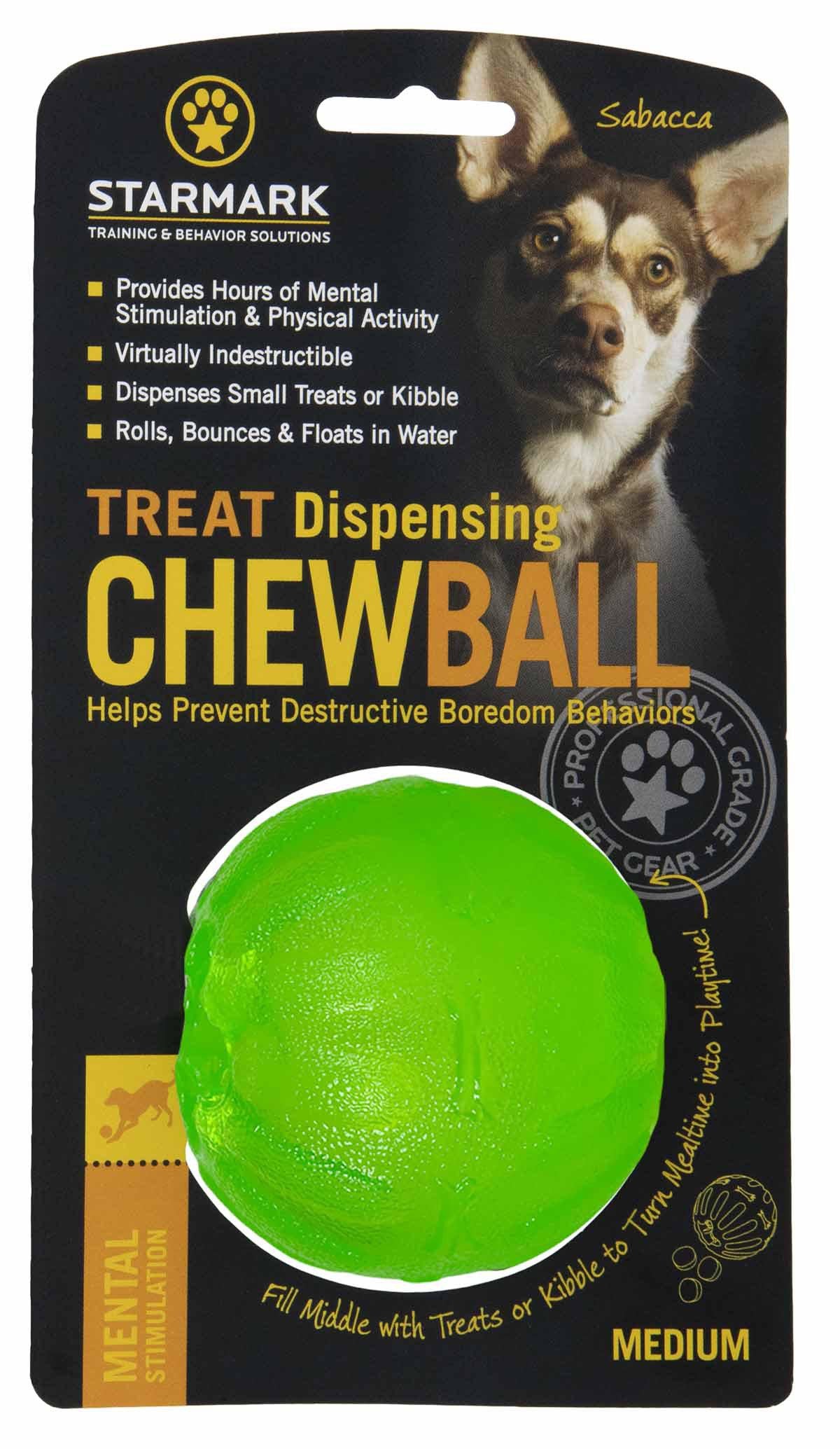 53177569182025_image1