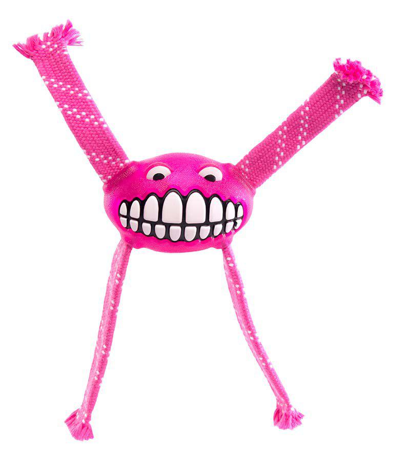 PetPal