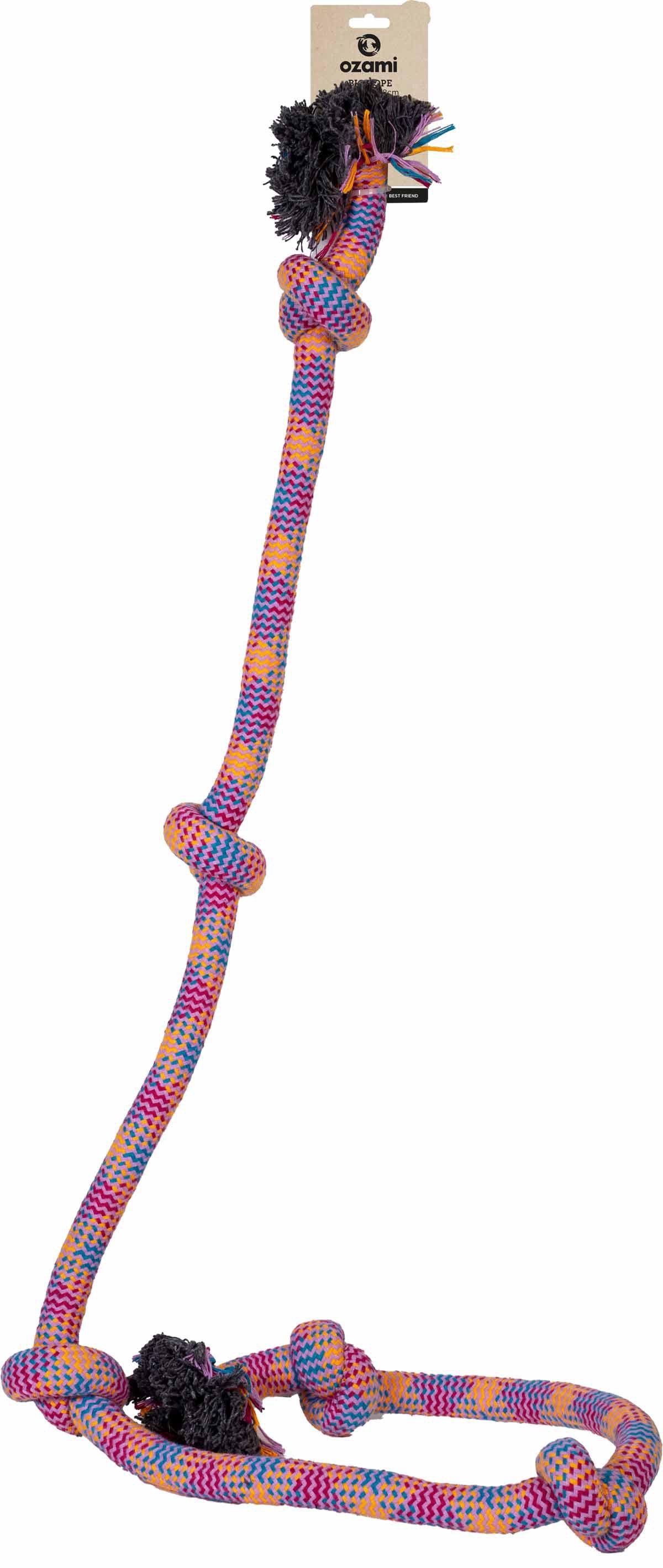 53173748662601_image1