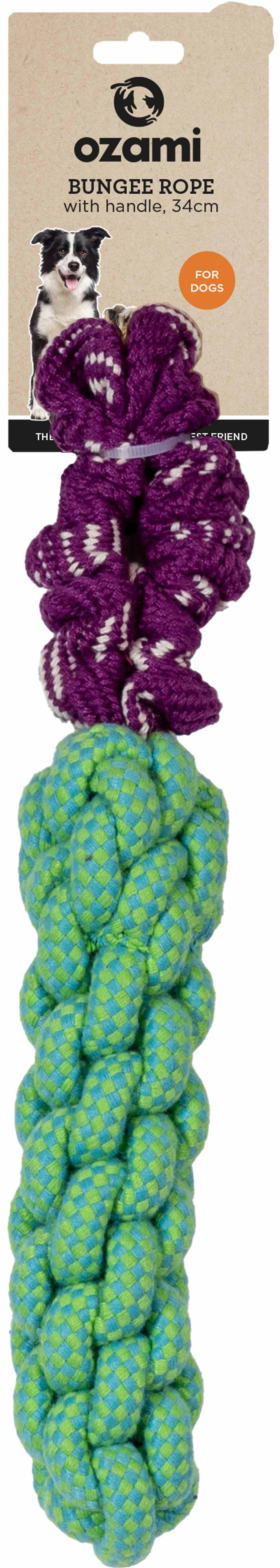 53175993041225_image1