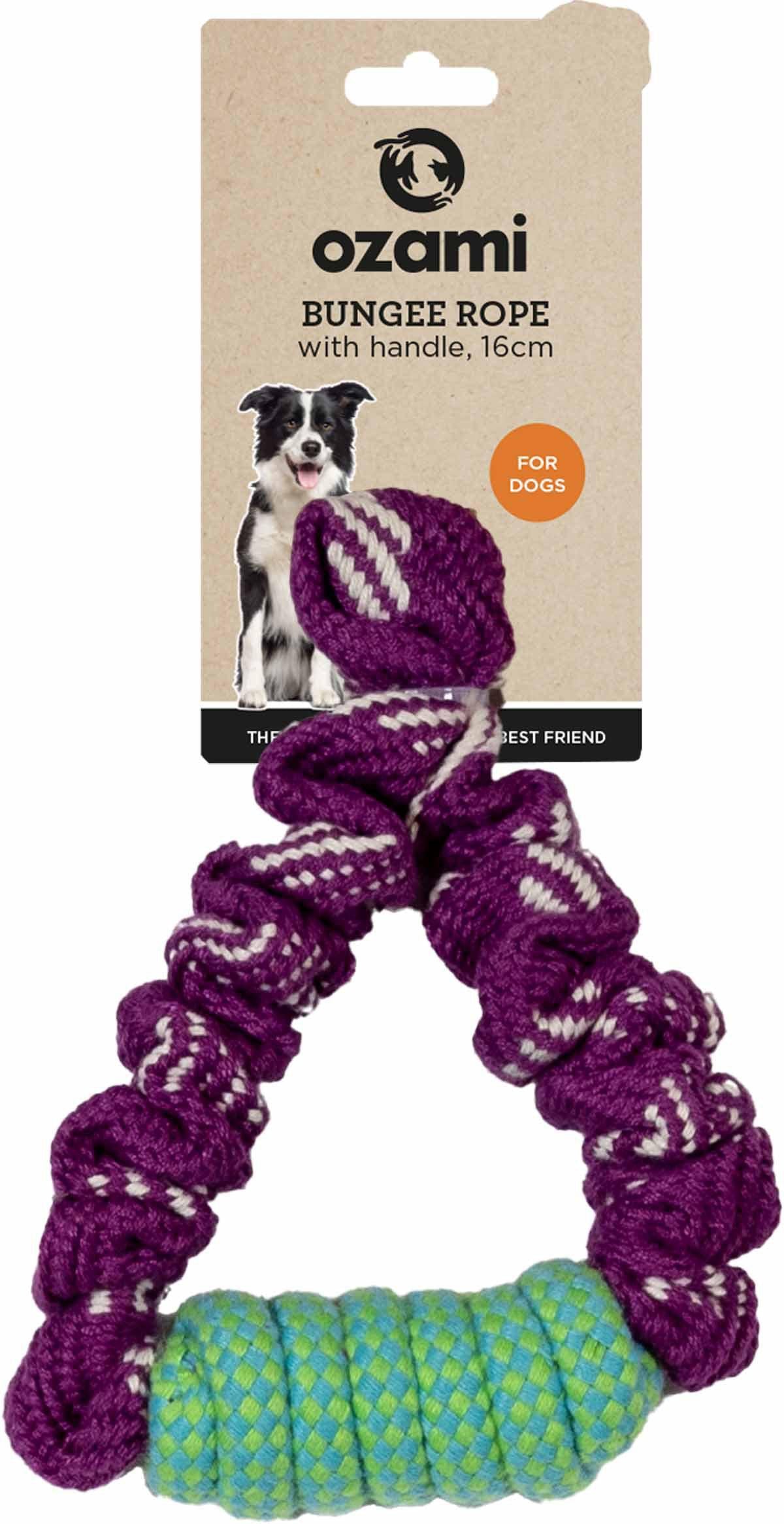 53174133784905_image1