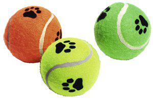 53177919471945_image1