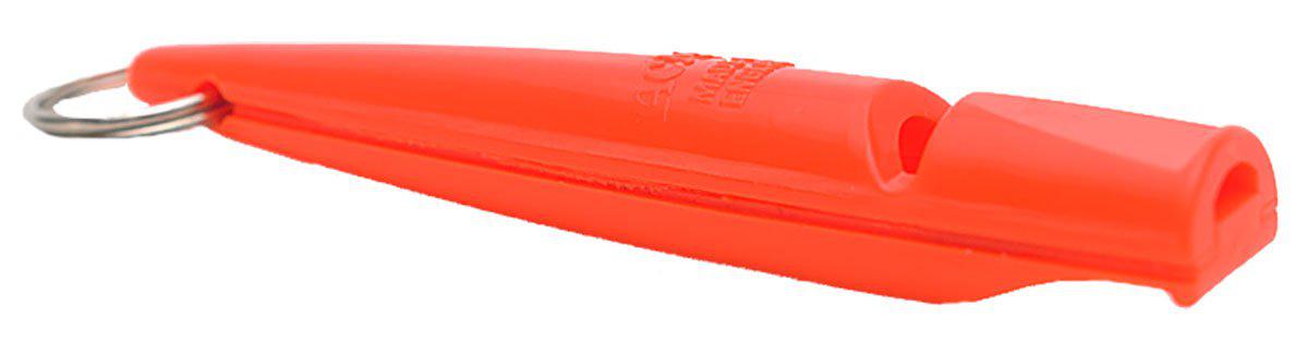 53266662687049_image1