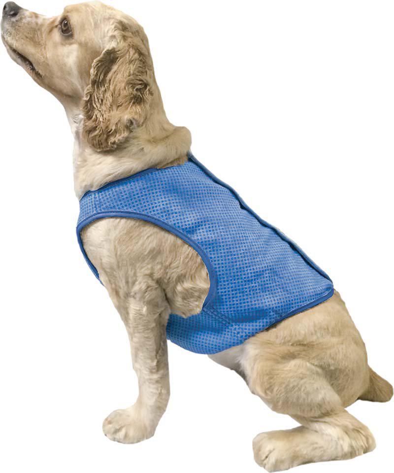 PetPal