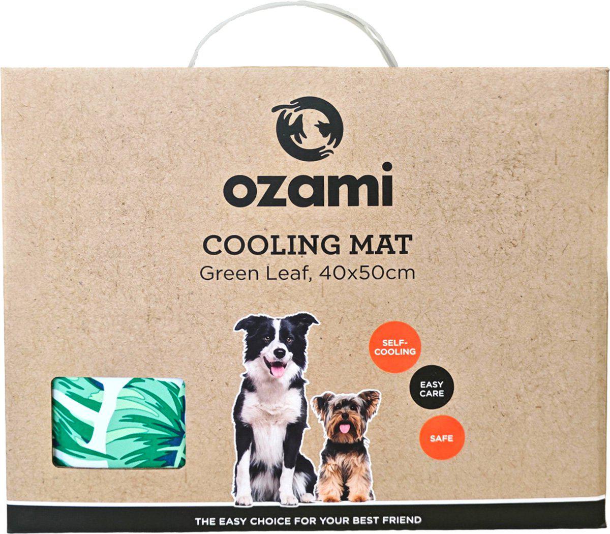 53174087221577_image1