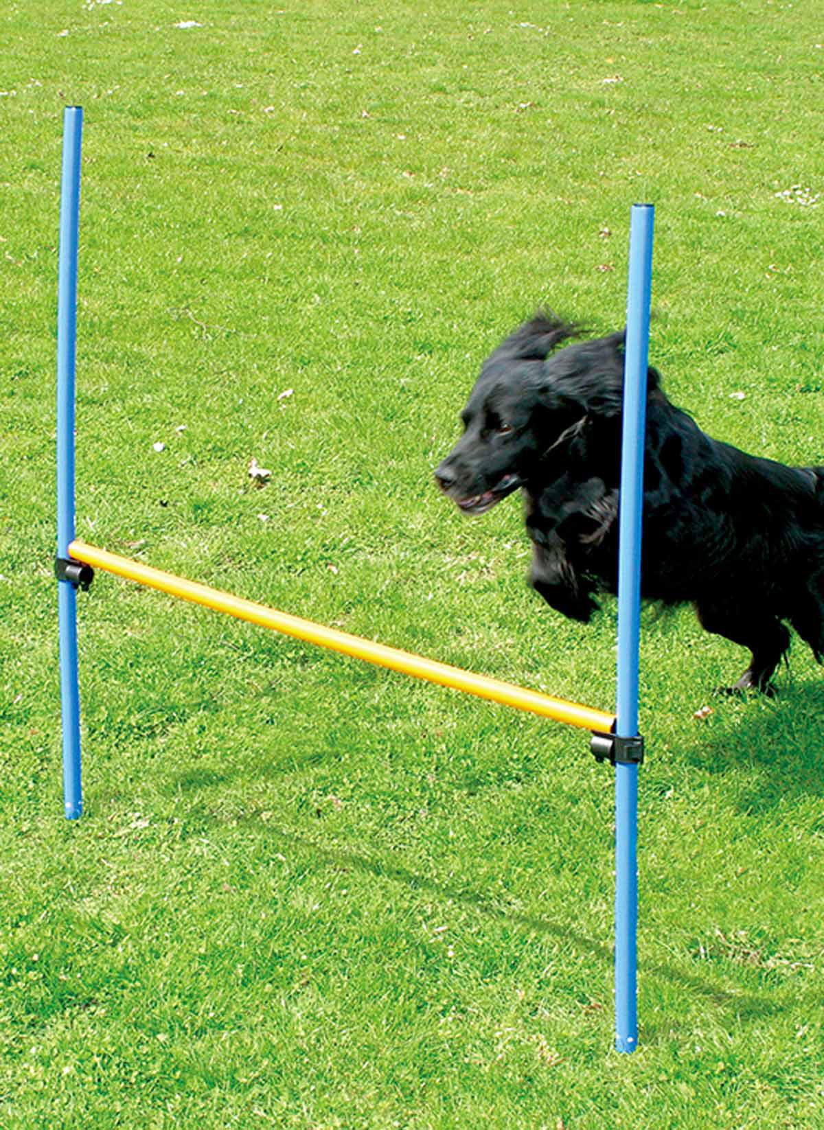 53175688692041_image1