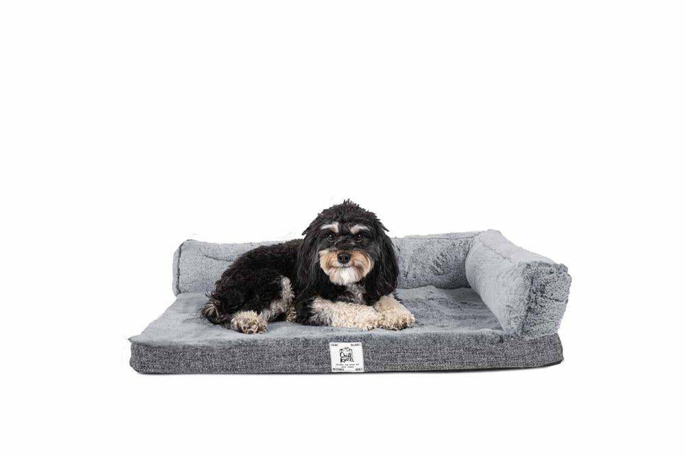 PetPal
