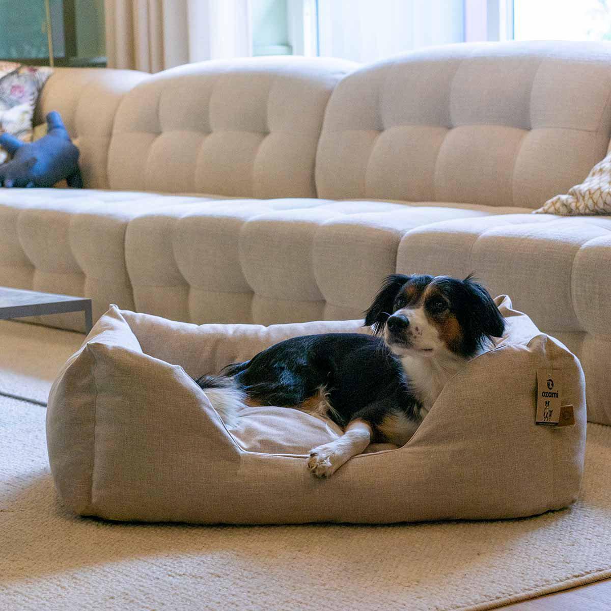656.7810_image2