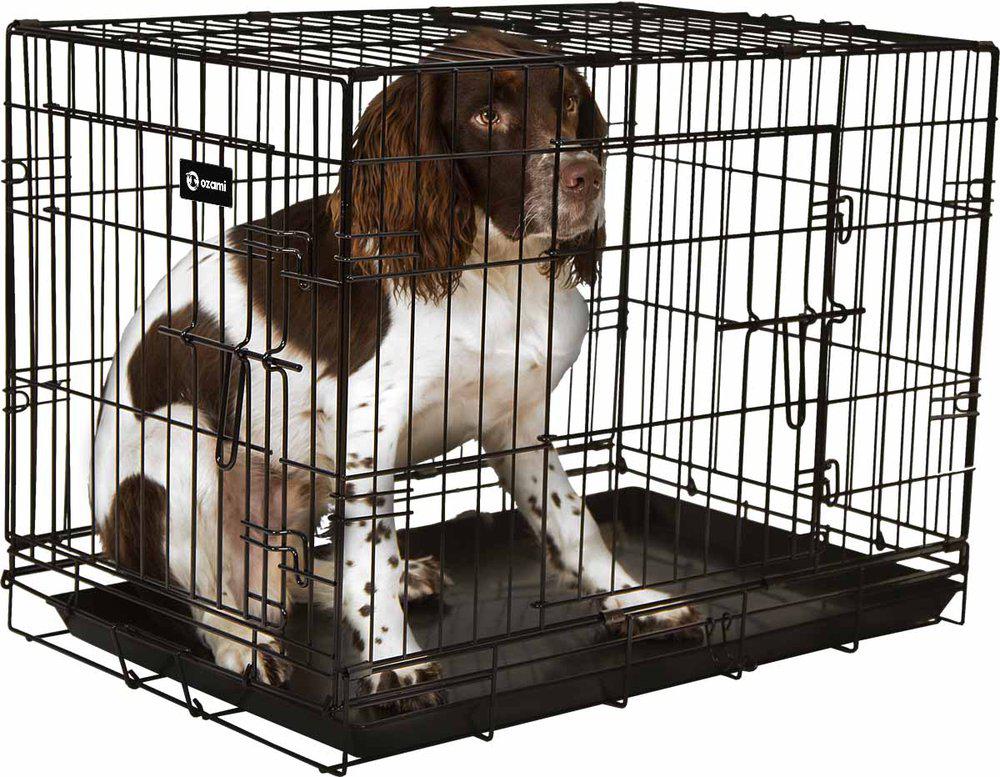 PetPal