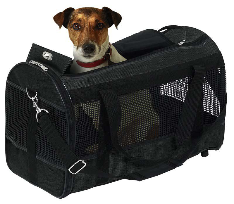 53176048746825_image1