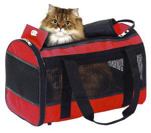 53173974860105_image1